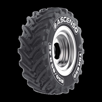 Foto pneumatico: ASCENSO, R1-W TDR650 540/65 R2828 149D Estive