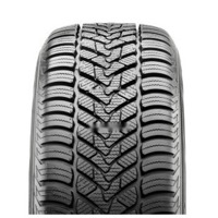 Foto pneumatico: CHENG SHIN, MEDALLION ALL SEASON ACP1 XL 225/55 R1818 102W Estive