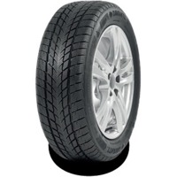 Foto pneumatico: DAVANTI, WINTOURA XL 225/60 R1717 103V Invernali