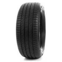 Foto pneumatico: DELINTE, DS2 205/55 R1616 91V Estive