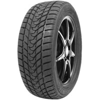 Foto pneumatico: DELINTE, WD 1 165/70 R1414 81T Invernali