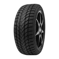 Foto pneumatico: DELINTE, WD 6 155/65 R1414 75T Invernali