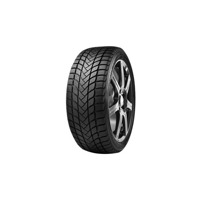 Foto pneumatico: DELINTE, WD 6 XL 195/45 R1616 84H Invernali