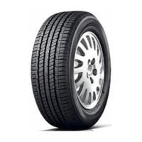 Foto pneumatico: DIAMONDBACK, TR257 M+S 245/55 R1919 103V Estive