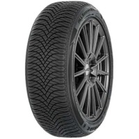 Foto pneumatico: DOUBLESTAR, DW06 215/70 R1515 109R Invernali