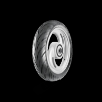 Foto pneumatico: EUROGRIP, PROTORQ 150/60 R1717 66W Estive