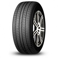 Foto pneumatico: FIREMAX, FM518 225/55 R1919 99V Estive