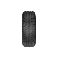 Foto pneumatico: FORTUNA, GOWIN UHP 205/55 R1616 91V Invernali