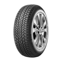 Foto pneumatico: GT Radial, Winter W1 205/50 R1717 93V Invernali