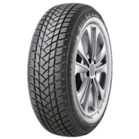 Foto pneumatico: GT Radial, WINTERPRO2 EVO 205/60 R1616 96H Invernali