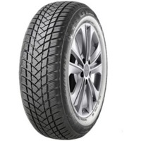 Foto pneumatico: GTRADIAL, WINTERPRO2 (EVO) M+S 3PMSF 215/70 R1616 100H Invernali