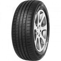 Foto pneumatico: MINERVA, F209 215/55 R1616 97W Estive