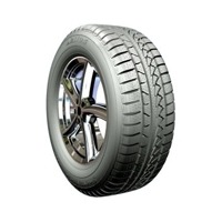 Foto pneumatico: PETLAS, SNOW MASTER W651 XL 255/40 R1919 100V Invernali