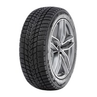 Foto pneumatico: RADAR, DIMAX ALPINE 205/60 R1616 96H Invernali