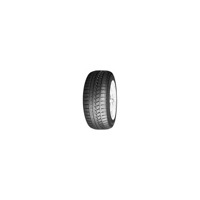 Foto pneumatico: ROADSTONE, WINGUARD SPORT XL 205/45 R1717 88V Invernali