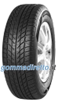 Foto pneumatico: TRAZANO, SW608 SNOWMASTER M+S 3PMSF 205/55 R1616 91H Invernali