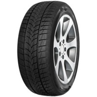 Foto pneumatico: TRISTAR, SNOWPOWER UHP 225/45 R1717 91V Invernali