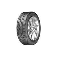 Foto pneumatico: ZEETEX, WH 1000 245/45 R1818 100V Invernali