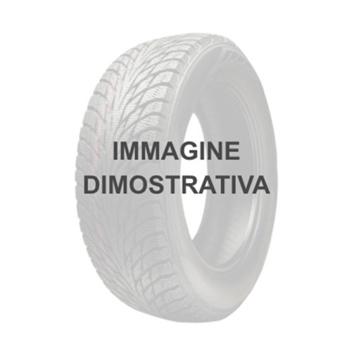 Foto pneumatico: APTANY, RU101 225/70 R1616 103T Estive