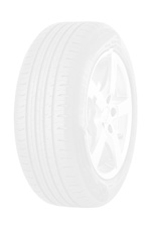 Foto pneumatico: BRIDGESTONE, LS100A * RFT XL 225/40 R1919 93H Estive