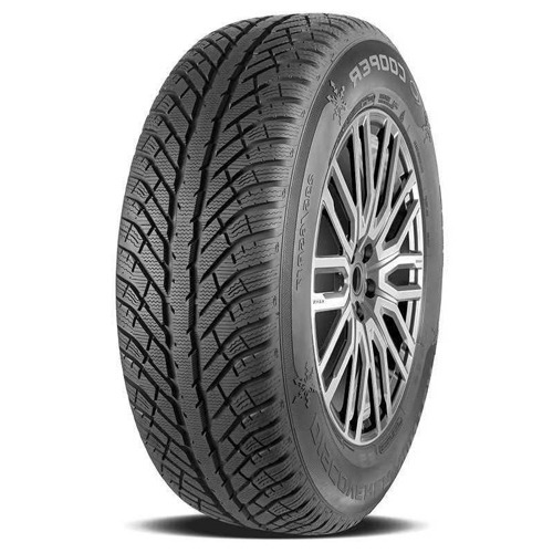 Foto pneumatico: COOPER, DISCOVERER WINTER XL M+S 3PMSF 255/35 R1919 96V Invernali