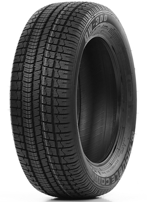 Foto pneumatico: Double Coin, DW300 225/45 R1818 95V Invernali