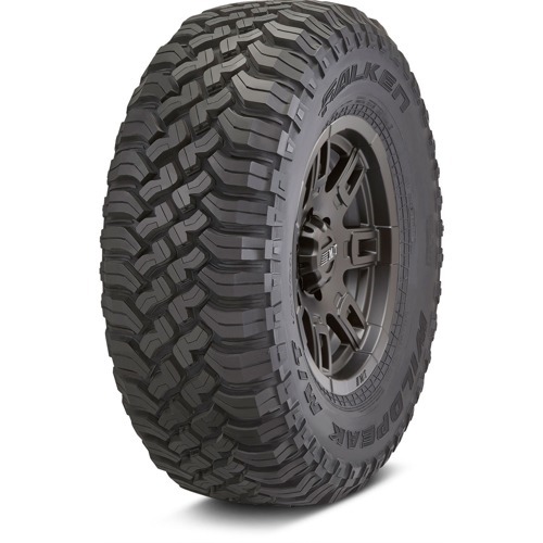 Foto pneumatico: FALKEN, WILDPEAK M/T MT01 265/60 R1818 119Q Estive