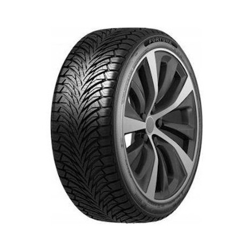 Foto pneumatico: FORTUNE, FITCLIME FSR-401 205/60 R1616 96V Quattro-stagioni