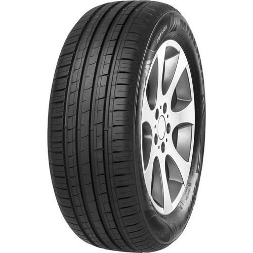 Foto pneumatico: MINERVA, F209 205/50 R1616 87V Estive