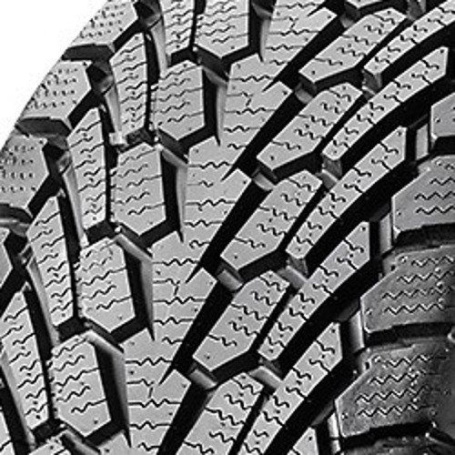 Foto pneumatico: NEXEN, WINGUARD SUV XL 255/50 R1919 107V Invernali