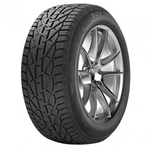 Foto pneumatico: TAURUS, 601 winter 225/50 R1717 94H Invernali