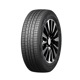 Foto pneumatico: DOUBLESTAR, DSS02 XL 235/55 R2020 105V Estive